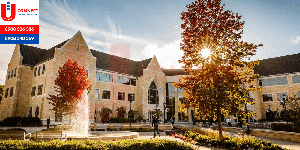 Ngành Actuarial Science là ngành gì?